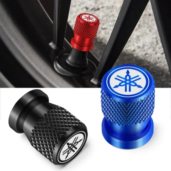 Motorcycle Tire Valve Stem Caps – Random Design